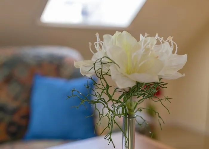 Lindenbuschen 2 7 * Kellenhusen