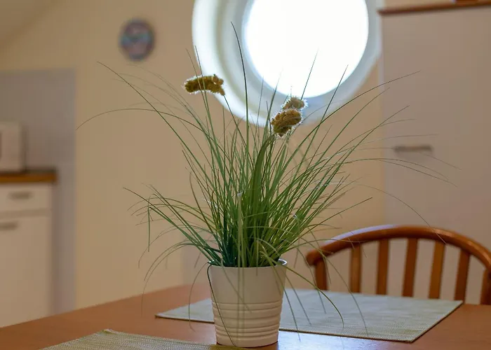 Appartamento Lindenbuschen 2 7 Kellenhusen